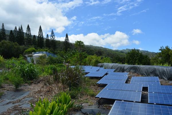 20731205_832525466905190_1603575979_n